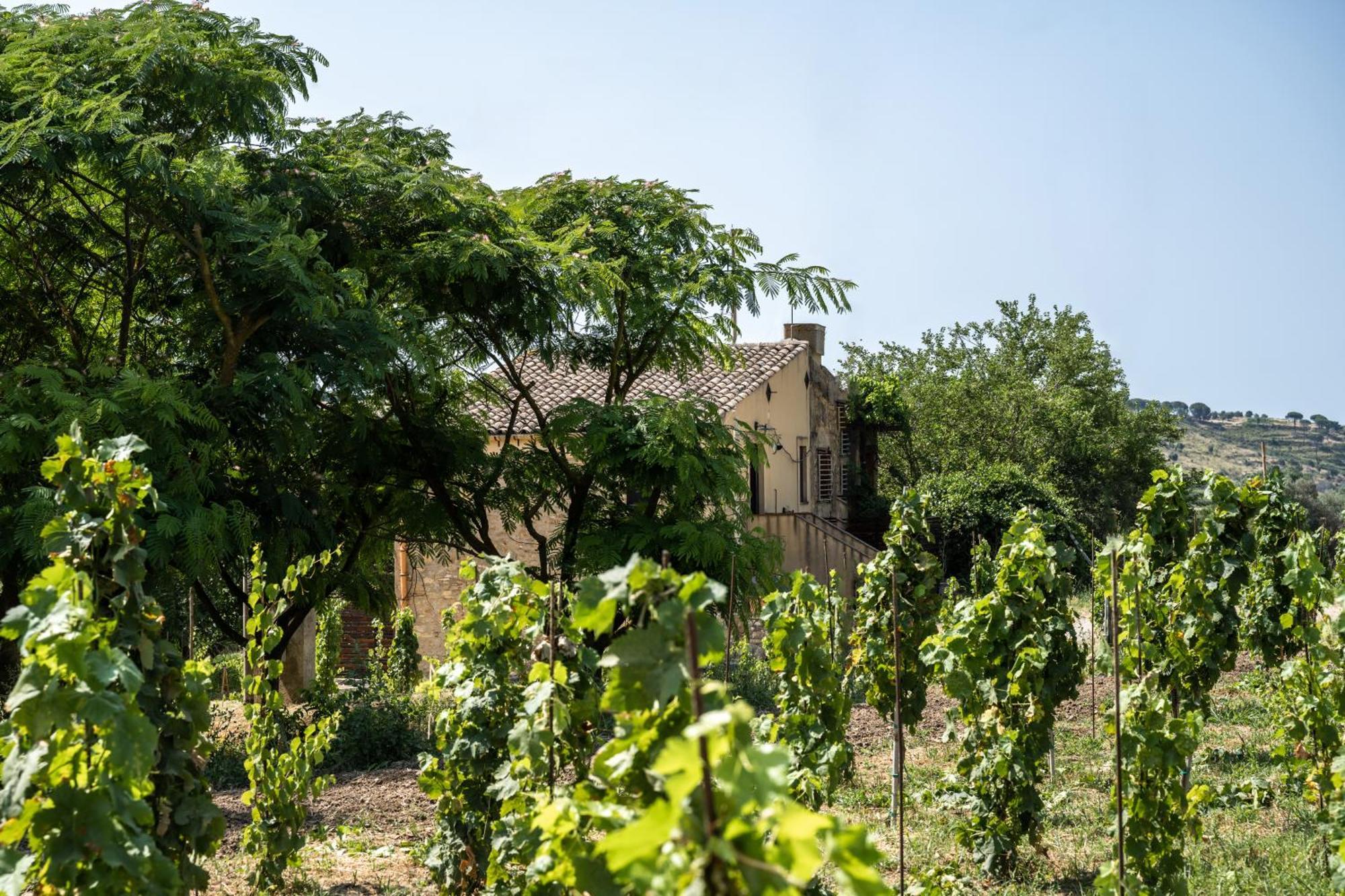 Cottage Immerso Nel Vigneto Caltagirone Extérieur photo