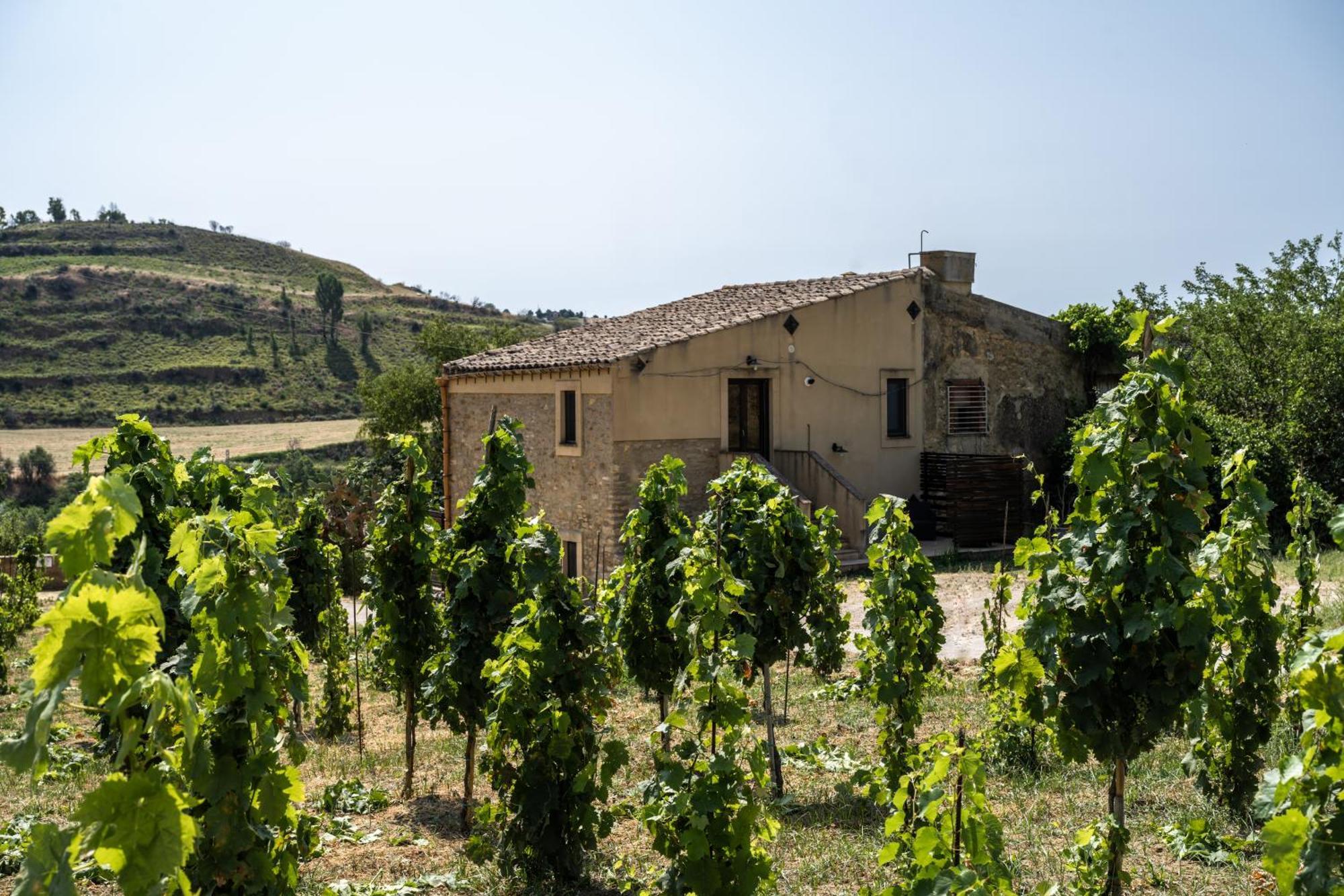 Cottage Immerso Nel Vigneto Caltagirone Extérieur photo